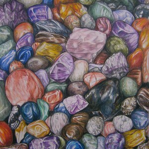 Original colour pencil drawing of a Kentia Palm