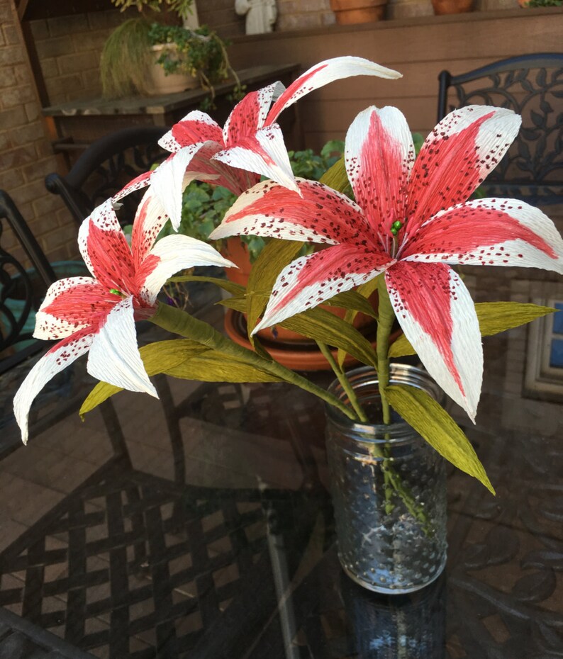 Essay on lily flower in english image