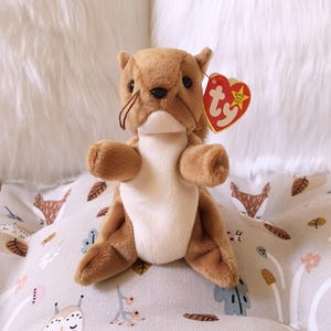 May include: A brown and white stuffed squirrel with a red Ty tag that says "Beanie Babies" and "Ty".