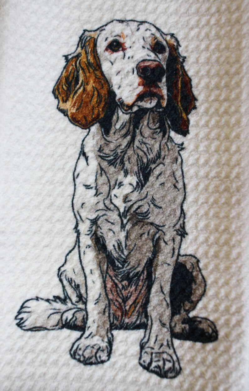 May include: A detailed illustration of a seated English Setter dog. The dog has a white coat with brown and gray markings, including brown ears and a brown nose. The dog is depicted on a white background, showcasing the intricate details of its fur and features.