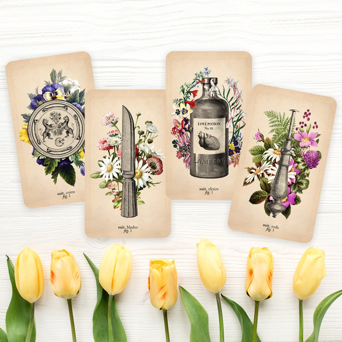 Antique Anatomy Tarot anatomy tarot black and the moon Etsy