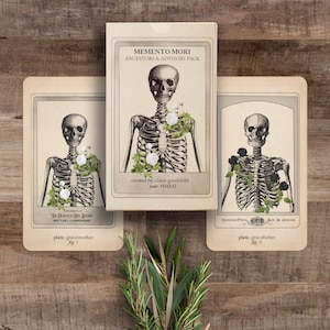 Ancestors & Advisors Expansion - Memento Mori Oracle, Oddities Deck, Oracle Cards, Anatomy Tarot Deck, Tarot Deck, Anatomy Oracle