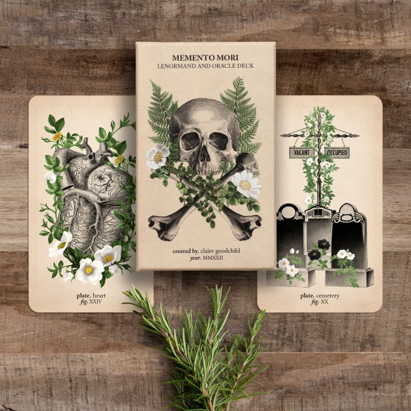 Jeu Oracle Memento Mori, jeu Lenormand, tarot anatomique, jeu oracle, jeu de tarot, oracle des bizarreries