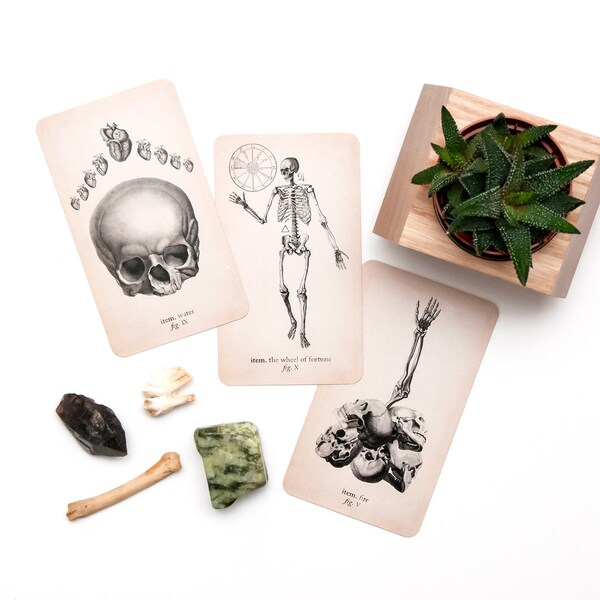 PRE - ORDER, Tarot, Antique Anatomy Tarot Deck, Tarot Deck, Tarot Cards,