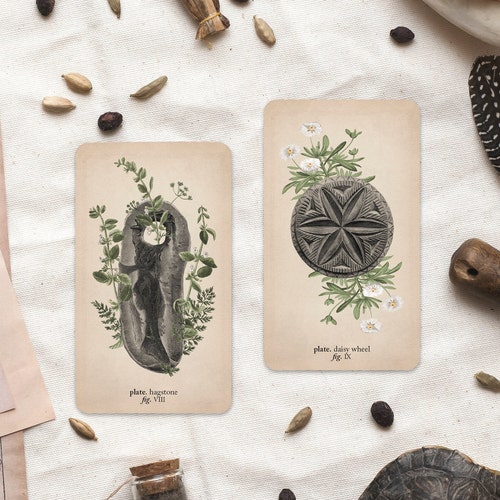Memento Mori Oracle Deck, Lenormand Deck, Anatomy Tarot Memento Mori Oracle Deck, Lenormand Deck, Anatomy Tarot