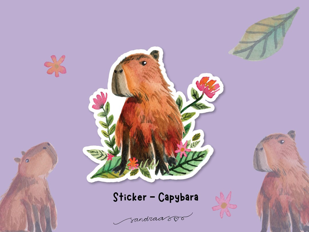 Capybara Sticker Example Die Cut Vinyl Sticker Capybara - Etsy