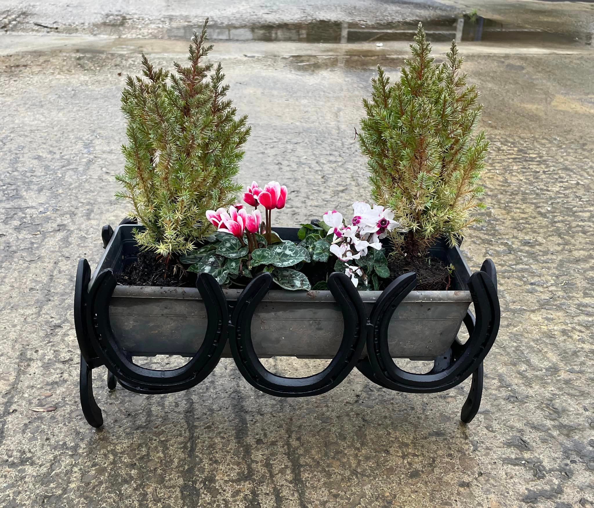 kiwi plant pot Kiwi Planter CN1261