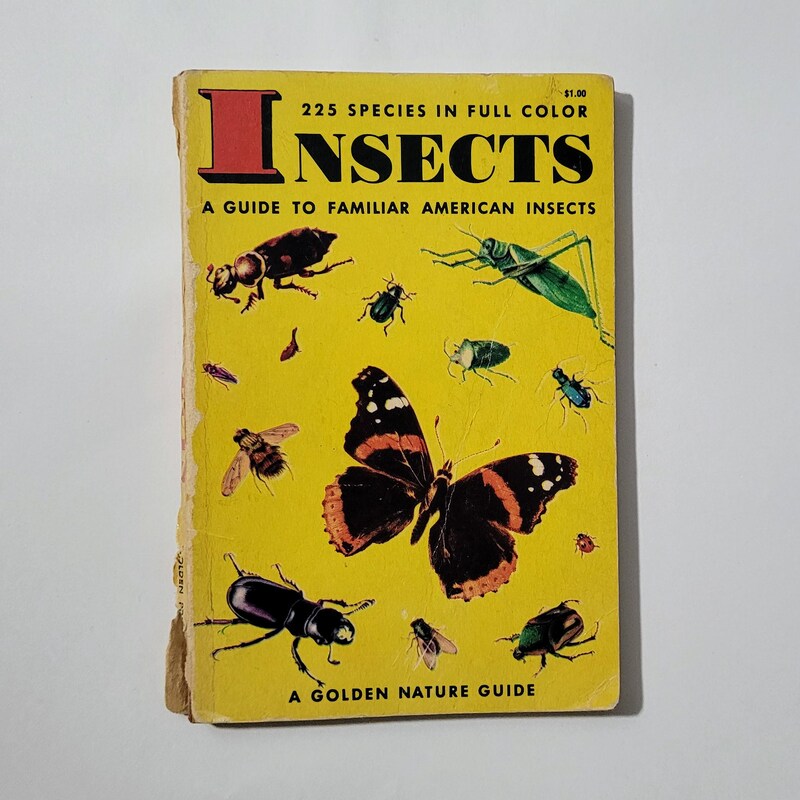 The Hidden Jung Files Elena Graves - Etsy Canada