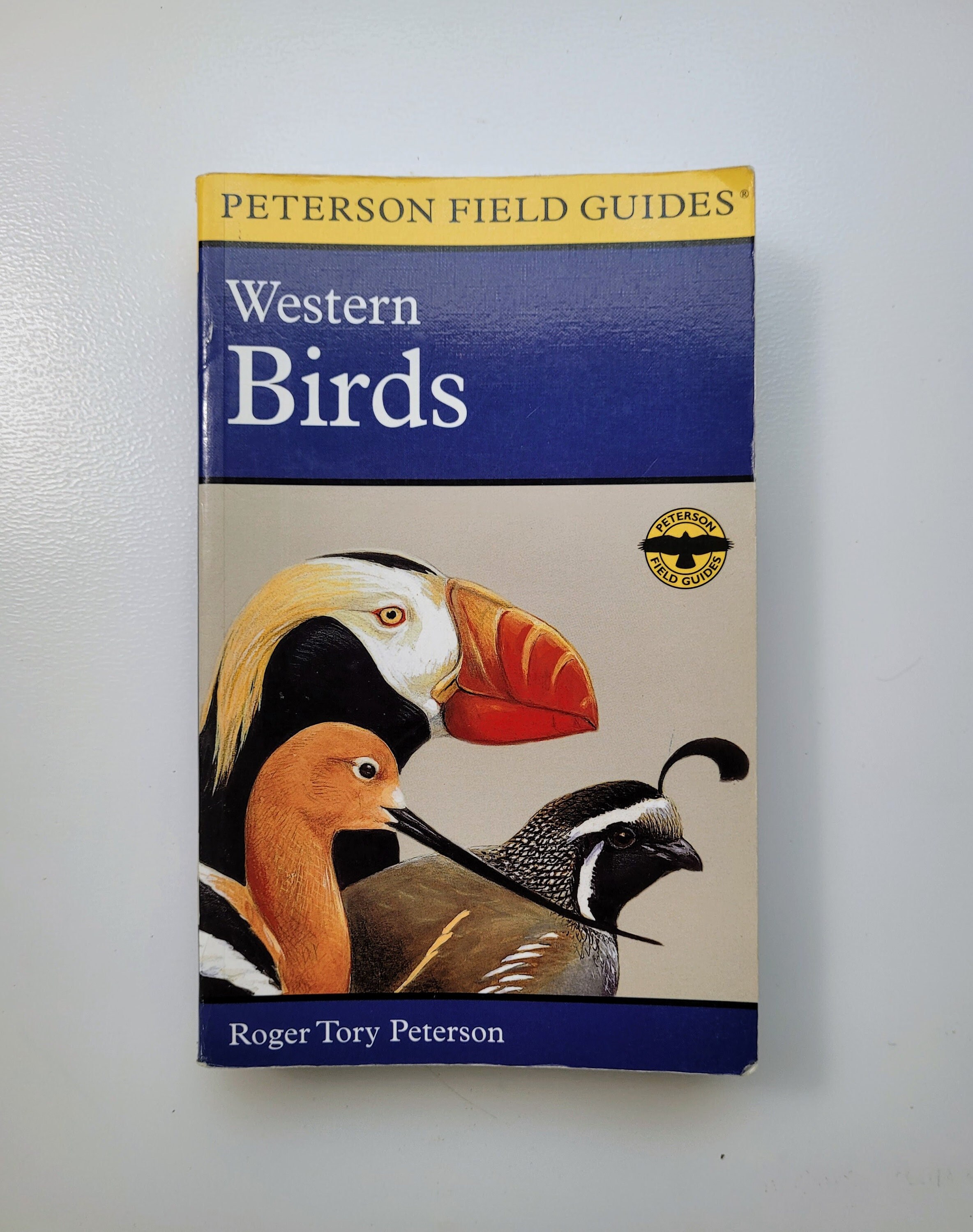 Pocket Bird Guide - Etsy