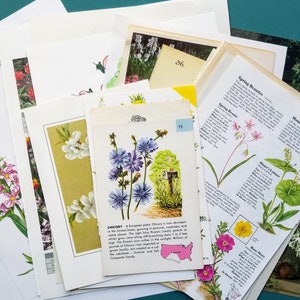Flower Themed Vintage Paper Pack