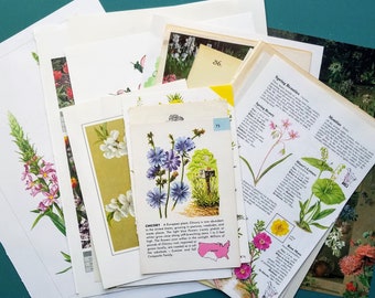 Flower Themed Vintage Paper Pack