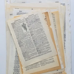 Vintage Dictionary Pages Paper Pack, 50 Pages image 2