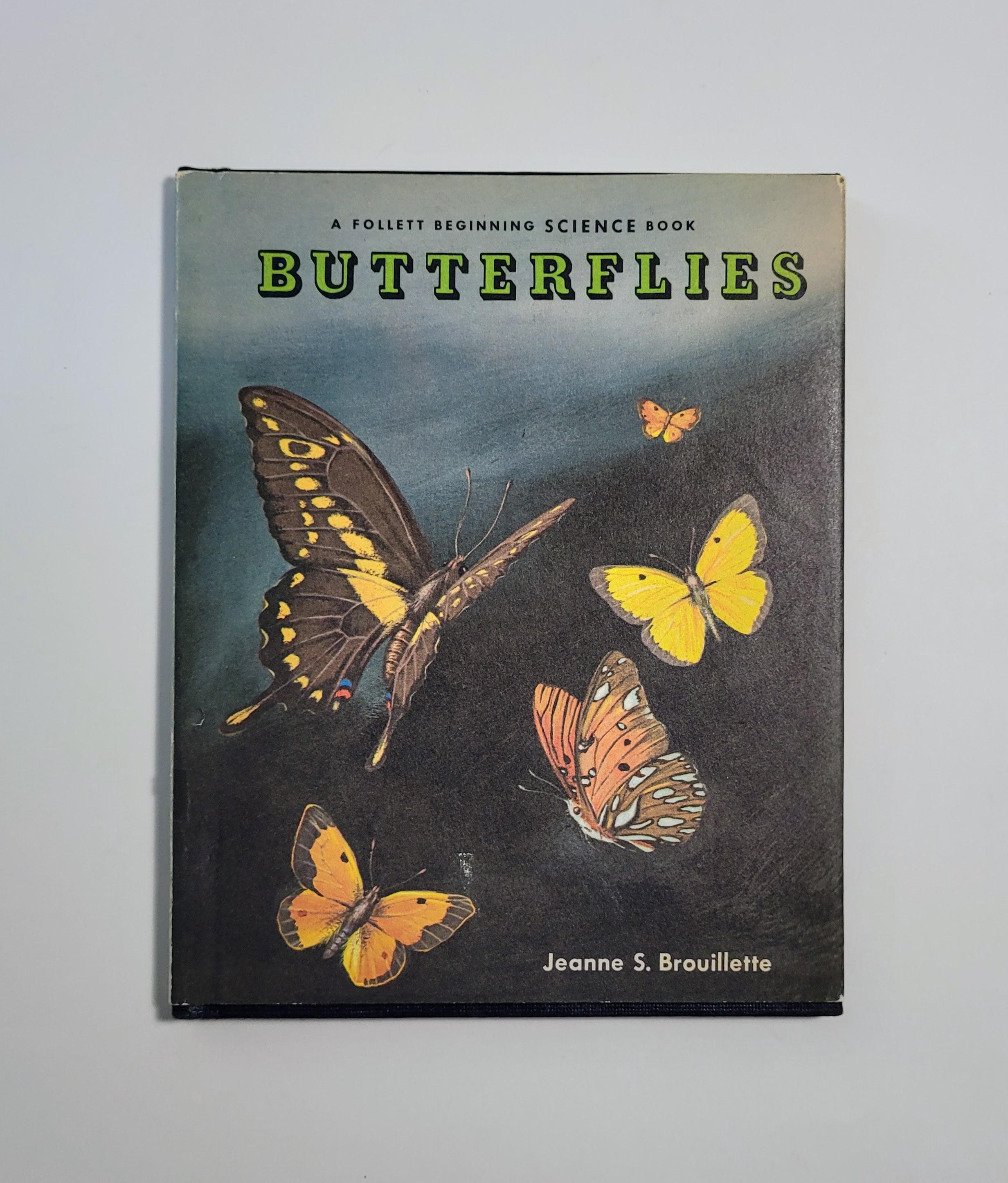The International Butterfly Book 英語版 初版本 Vintage Illustrated Butterfly Book - Etsy