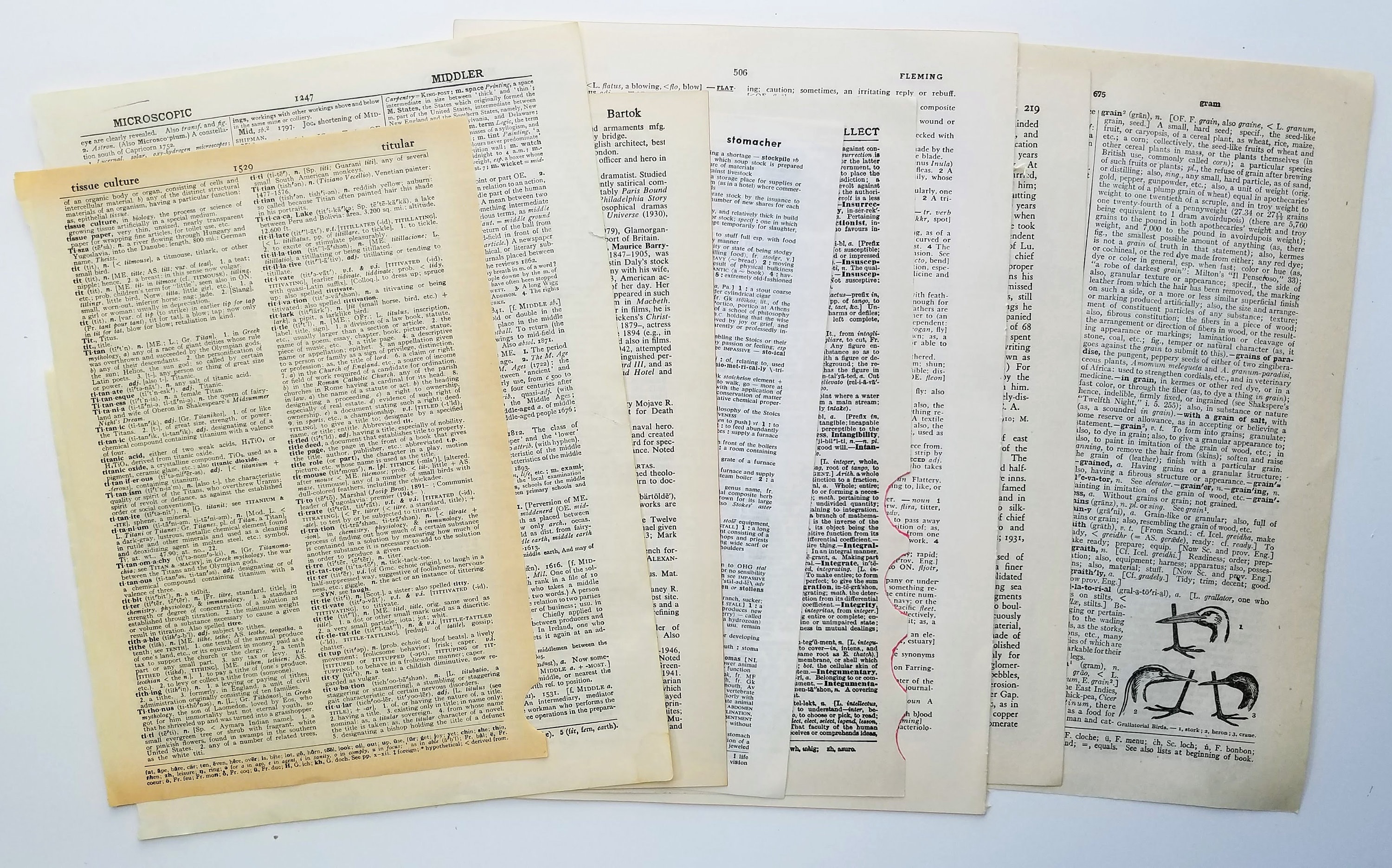 Vintage Dictionary Pages Paper Pack, 50 Pages - Etsy