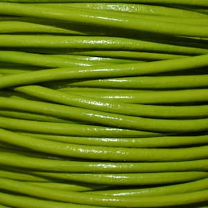 May include: A close-up of a spool of bright green leather cord. The cord is smooth and shiny, and it is wound tightly around the spool.