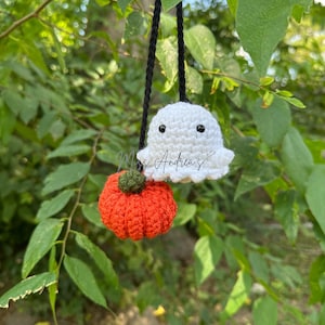 May include: A white crocheted ghost with black eyes hangs from a black string, with an orange crocheted pumpkin hanging below it. Both are hanging from a tree branch.
