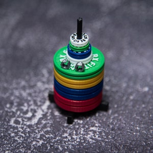 Peut inclure: Une pile de plaques de poids colorées avec un support en métal noir. Les plaques sont vertes, jaunes, bleues et rouges. Les plaques portent des chiffres et des lettres blancs.