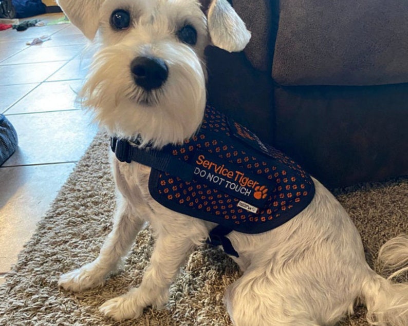 Service Dog Patch Do Not Touch Service Dog Vest Accessories Etsy