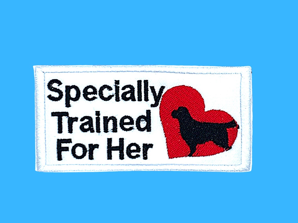 Service Dog Gear Patch for Vest PTSD Service Dog Sew On Etsy