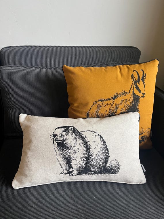 MARMOTTE cushion