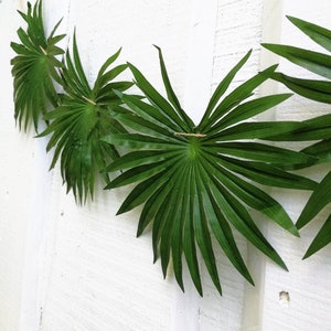 GARLAND Artificial Palm Leaves Garland, Tropical Party Decor, Green Garlands, Greenery Decoration, Hawaii Jungle Safari Birthday Fabric Leaf