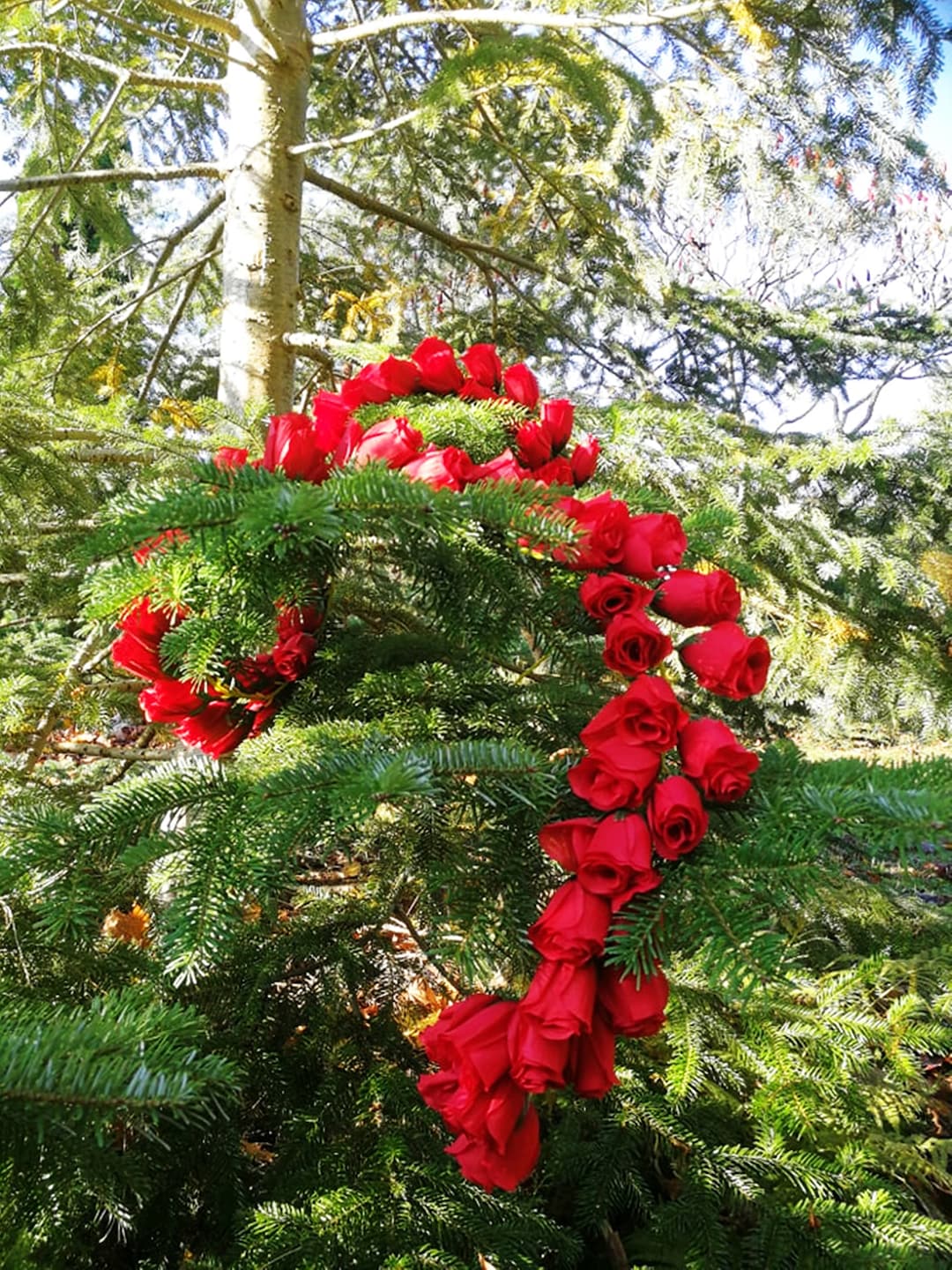 ROSES GARLAND 80