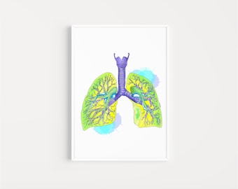 Lunge Anatomie Kunstdruck: Wissenschaftliches Poster, Medizinisches Geschenk