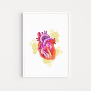 Heart Anatomy Art Print: Medical Biology Poster, Cardiologist Gift (Digital Download)