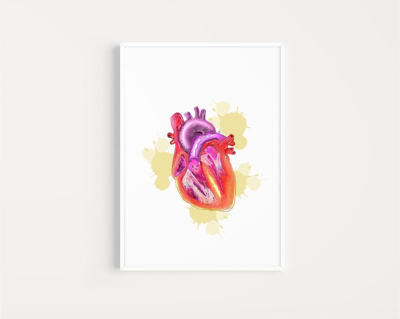May include: A framed print featuring a detailed, colorful illustration of a human heart. The heart is rendered in shades of red, pink, and purple, with yellow paint splatters in the background. The artwork is set against a white background.