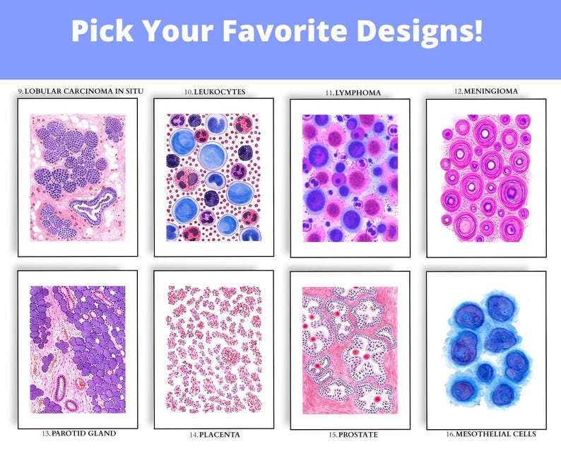 May include: A collection of eight framed prints featuring colorful microscopic images of various cells and tissues. The prints include labels such as "Lobular Carcinoma in Situ," "Leukocytes," and "Lymphoma." The text "Pick Your Favorite Designs!" is at the top.