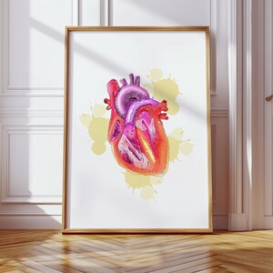 May include: A framed print featuring a detailed, colorful illustration of a human heart. The artwork showcases the heart's anatomy with shades of red, pink, and purple, set against a white background with yellow paint splatters. The frame is a warm, natural wood tone.