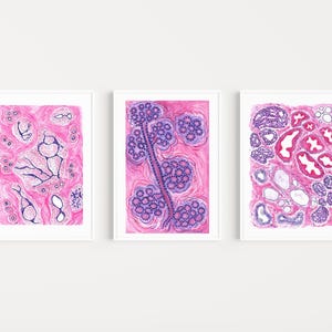 Breast histology printable, breast printable art, anatomy wall art, histology print, breast surgeon gift, breast pathologist gift