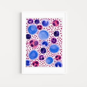 White blood cell histology art printable, classroom printable art, cell biology art printable, hematologist gift, oncologist gift