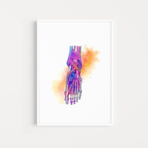 Foot anatomy art, anatomy art printable, orthopedic surgeon gift, physical therapy gift, digital art download, doctor office wall decor
