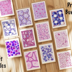 May include: A collection of framed art prints with abstract designs in shades of pink, purple, and blue. The prints are arranged on a wooden surface, with the words "Print Bundles" in black text. The art features various patterns and textures.