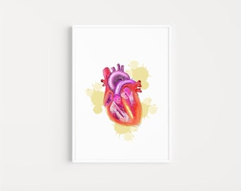 Herz Anatomie Kunstdruck: Medizin Poster