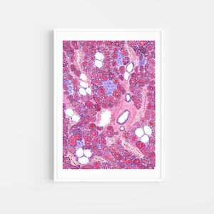 Pancreas Histology Watercolor Print: Medical Anatomy Art (Digital Download)