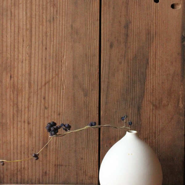 petit vase en forme d'oeuf blanc