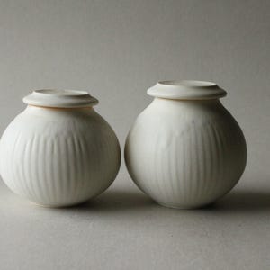Pode incluir: Dois vasos de cerâmica branco-sujo com tampas. Os vasos têm um corpo redondo com detalhes verticais canelados. As tampas são planas com uma borda arredondada. Os vasos são exibidos em um fundo neutro.