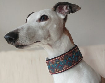 Martingale soft padded whippet collar, greyhound, wide dog collar, gold, blue . Width - 5.5cm/2,2''.