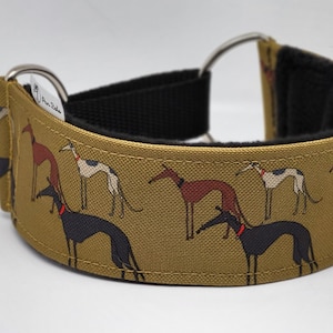 Comfortable, soft, cosy martingale dog collar. Width - 5cm/2''. Whippet, greyhound, sighthound, ig, galgo collar cartoon, funny drawing