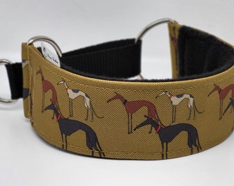 Comfortable, soft, cosy martingale dog collar. Width - 5cm/2''. Whippet, greyhound, sighthound, ig, galgo collar cartoon, funny drawing