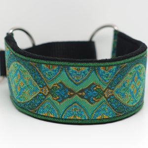 Op de afbeelding: Een groene, blauwe en gouden hondenhalsband met een zwarte nylon band en zilveren beslag.