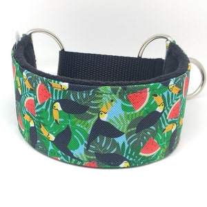 Comfortable, soft, martingale dog collar. Width 5.5cm/2,2''. Whippet collar, greyhound collar, sighthound collar. Toucans, watermelons image 6