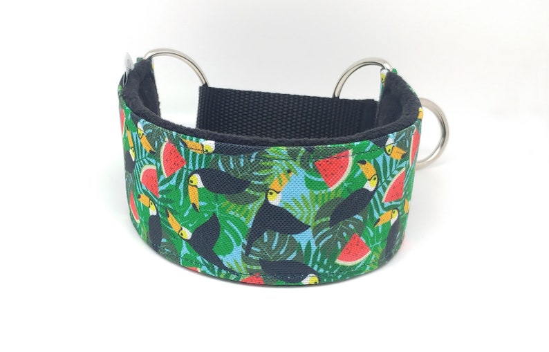 Comfortable, soft, martingale dog collar. Width 5.5cm/2,2''. Whippet collar, greyhound collar, sighthound collar. Toucans, watermelons image 6