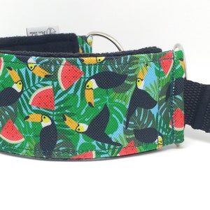 Comfortable, soft, martingale dog collar. Width 5.5cm/2,2''. Whippet collar, greyhound collar, sighthound collar. Toucans, watermelons image 4