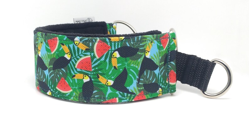 Comfortable, soft, martingale dog collar. Width 5.5cm/2,2''. Whippet collar, greyhound collar, sighthound collar. Toucans, watermelons image 4