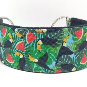 Comfortable, soft, martingale dog collar. Width 5.5cm/2,2''. Whippet collar, greyhound collar, sighthound collar. Toucans, watermelons image 3