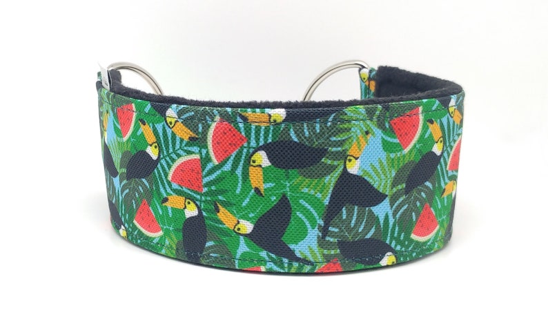 Comfortable, soft, martingale dog collar. Width 5.5cm/2,2''. Whippet collar, greyhound collar, sighthound collar. Toucans, watermelons image 3