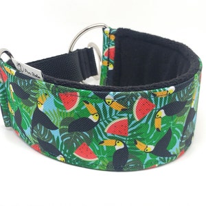 Comfortable, soft, martingale dog collar. Width 5.5cm/2,2''. Whippet collar, greyhound collar, sighthound collar. Toucans, watermelons image 1